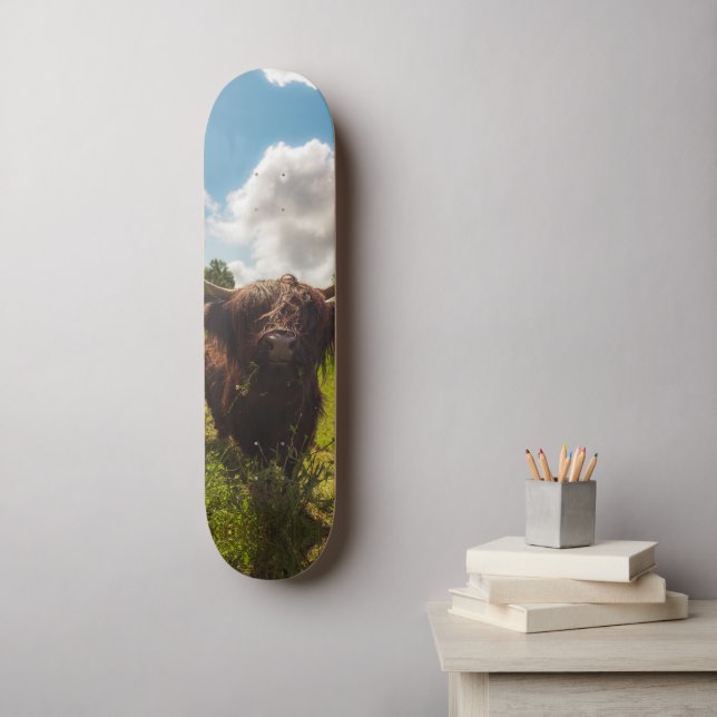 Black highland cow grazing green field sun light skateboard (Wall Art)