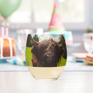 Black highland cow grazing green field sun light stemless wine glass