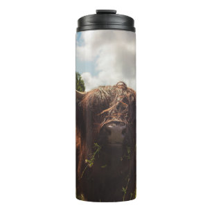 Black highland cow grazing green field sun light thermal tumbler