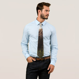 Black highland cow grazing green field sun light tie