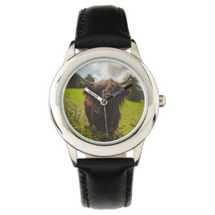 Black highland cow grazing green field sun light watch
