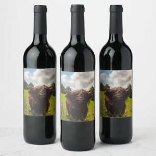 Black highland cow grazing green field sun light wine label