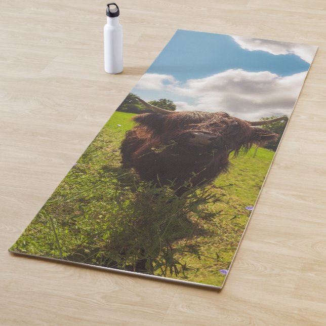 Black highland cow grazing green field sun light yoga mat (In Situ)