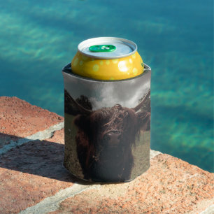 Black highland Scottish cow grazing vintage retro Can Cooler