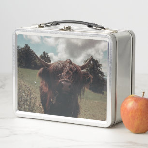 Black highland Scottish cow grazing vintage retro Metal Lunch Box