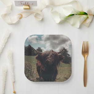 Black highland Scottish cow grazing vintage retro Paper Plate