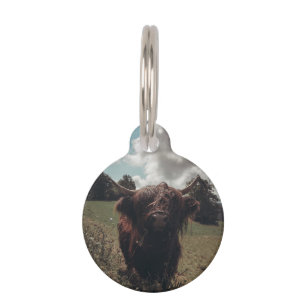 Black highland Scottish cow grazing vintage retro Pet Tag