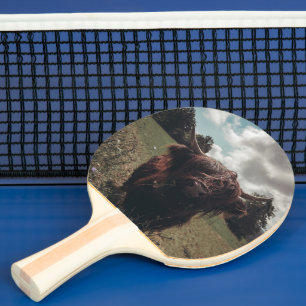 Black highland Scottish cow grazing vintage retro Ping Pong Paddle