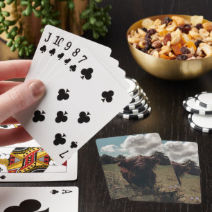 Black highland Scottish cow grazing vintage retro Playing Cards