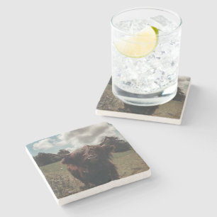 Black highland Scottish cow grazing vintage retro Stone Coaster