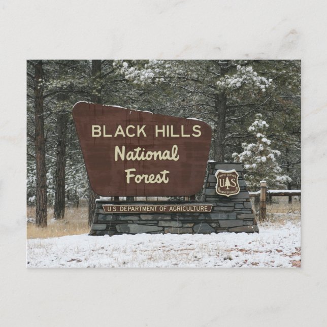 Black Hills National Forest Postcard (Front)