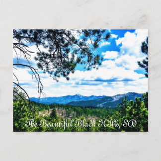 Black Hills SD Postcard