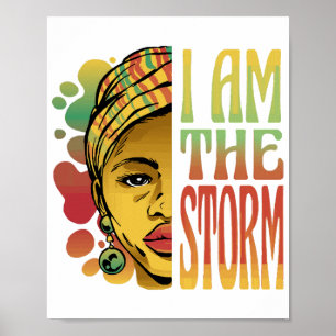 Black History Storm  Poster