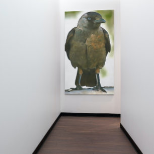 Black Hooded Crow Perched on A Balustrade Art Poster
