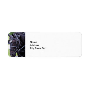 Black Horse 384 Return Address Label