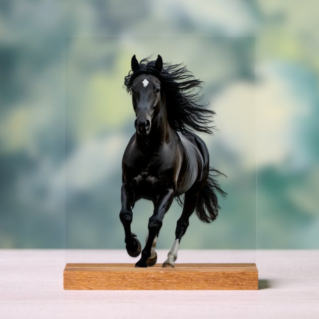 Black horse acrylic sign (Neutral)