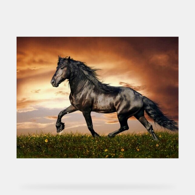 black horse acrylic sign (Front)