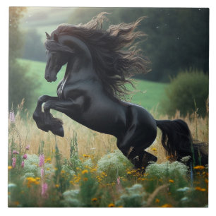 Black Horse Ceramic Tile