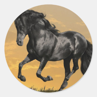 Black horse classic round sticker