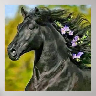 black horse floral pencil, Poster Paper (mat)