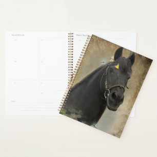 Black Horse Friesian Horse - Calendar, Planner