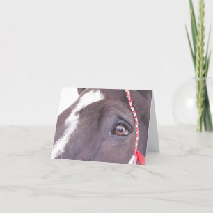 Black Horse greeting card