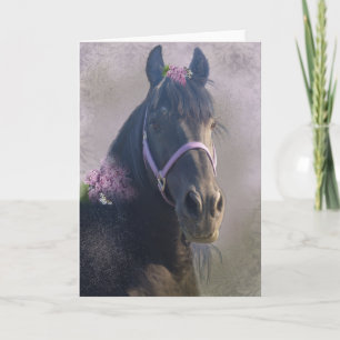 Black Horse - Greeting Card