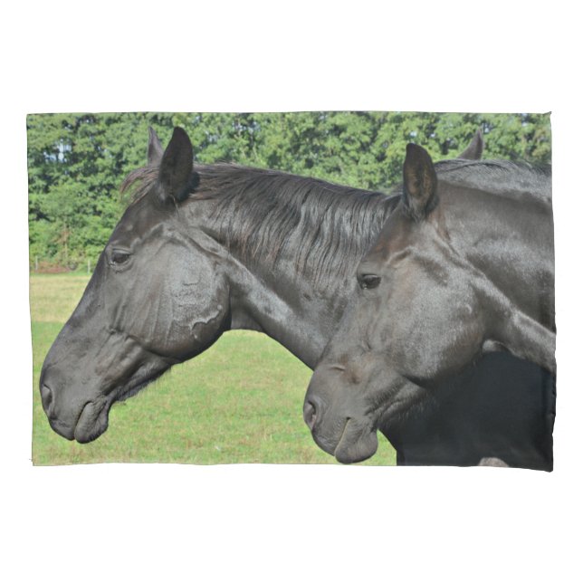 Black Horse Heads in Peaceful Profile Light Pillowcase (Front-Left)