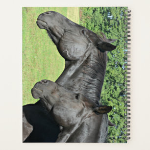 Black Horse Heads in Peaceful Profile Planner