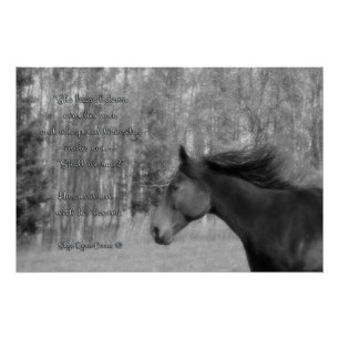 Black Horse & Horse-lover Poem w Equine B&W Photo Poster
