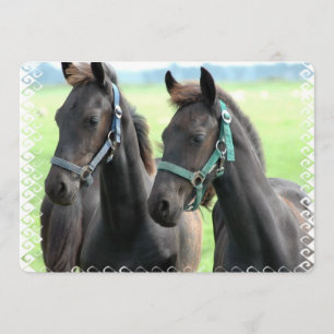 Black Horse Invitation