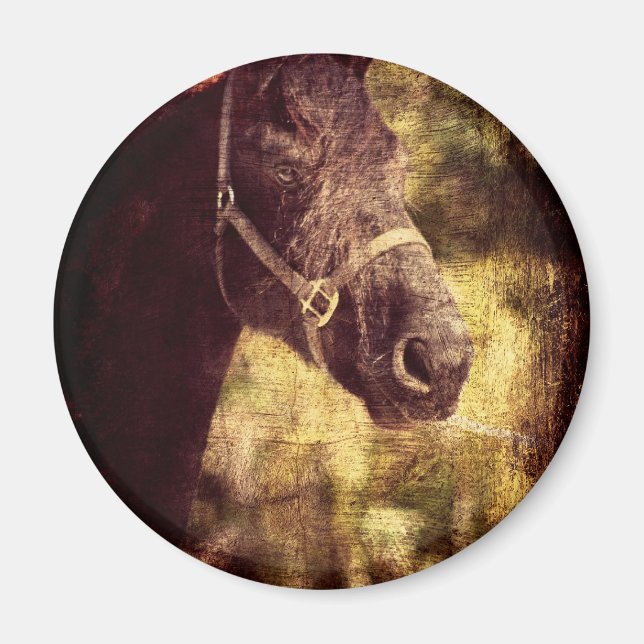 Black Horse Magnet (Front)