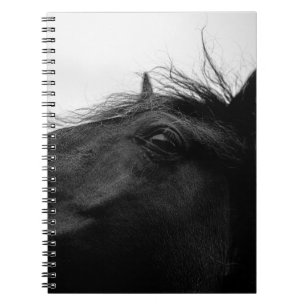 BLACK HORSE NOTEBOOK
