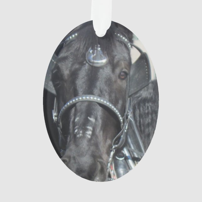 Black Horse Ornament (Back)