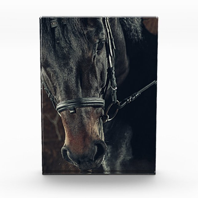 Black Horse  Photo Block (Front)