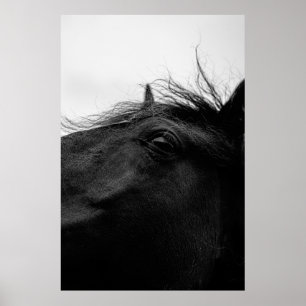 BLACK HORSE POSTER