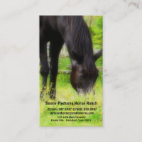 Black Horse Riding Stables Boarding or Farrier