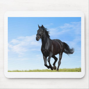 black-horse-running-in-green-meadow mouse pad