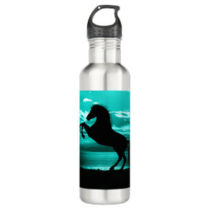 Black Horse Teal Sky and Water   710 Ml Water Bottle