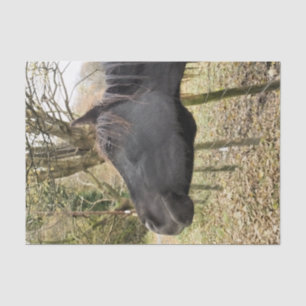 BLACK HORSE TISSUE PAPER