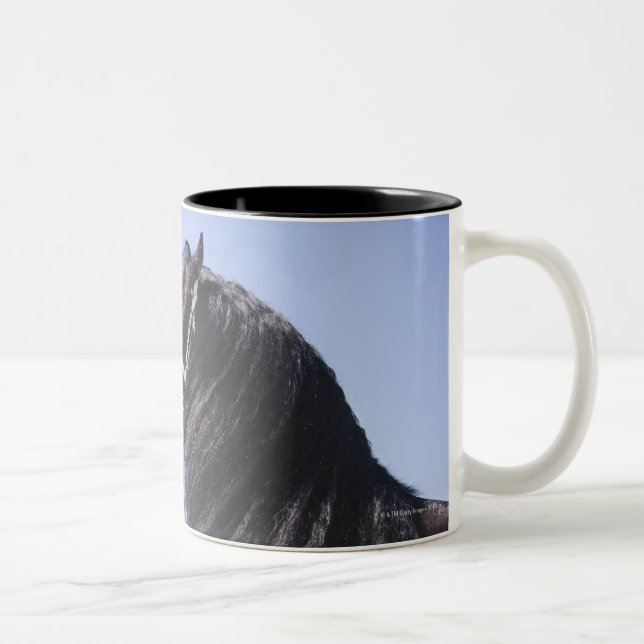 black horse with long mane Two-Tone coffee mug (Right)