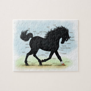 Black Horse with Star & Sock Anatomy Chart Jigsaw Puzzle