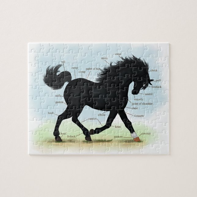 Black Horse with Star & Sock Anatomy Chart Jigsaw Puzzle (Horizontal)
