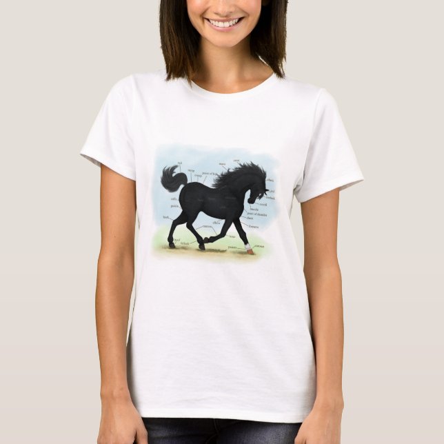 Black Horse with Star & Sock Anatomy Chart T-Shirt (Front)