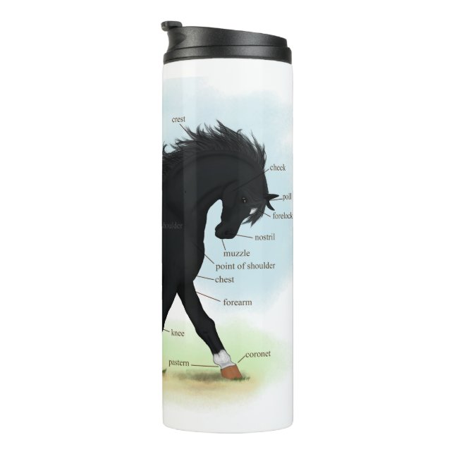 Black Horse with Star & Sock Anatomy Chart Thermal Tumbler (Rotated Right)