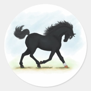 Black Horse with Star & Sock (Black Beauty) Classic Round Sticker