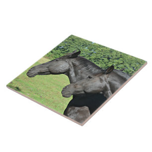 Black Horses in Sunlit Field Ceramic Tile