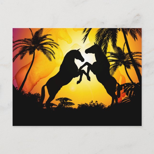 Black horses postcard (Front)