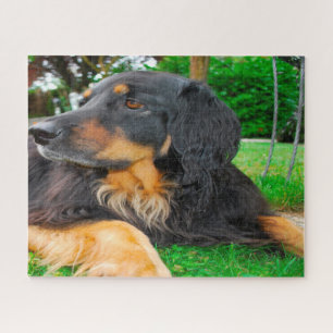 Black Hovawart Dog. Jigsaw Puzzle