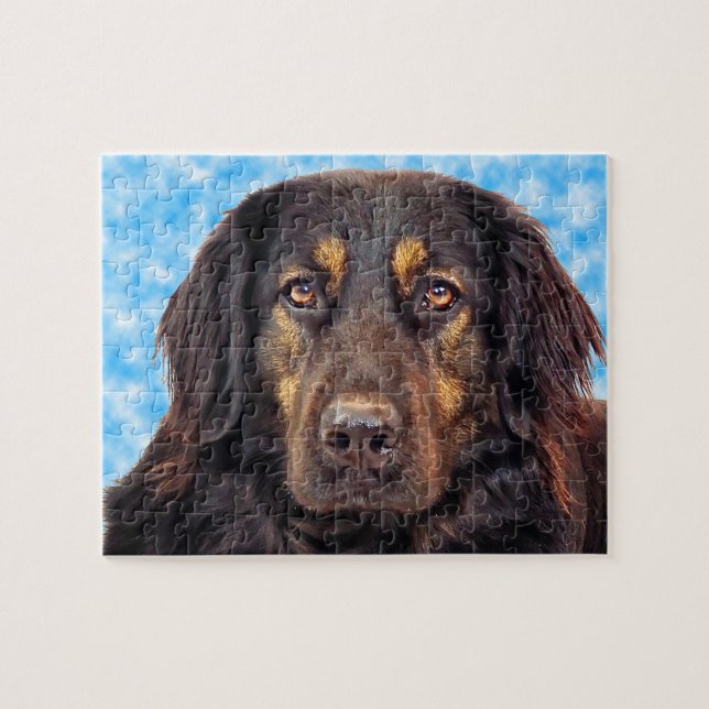 Black Hovawart Dog. Jigsaw Puzzle (Horizontal)